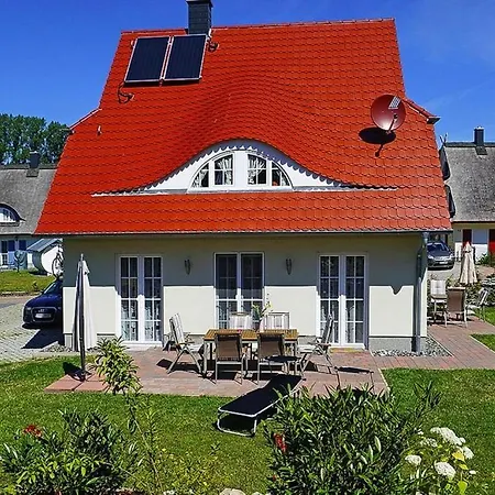 Nachtigall In Glowe